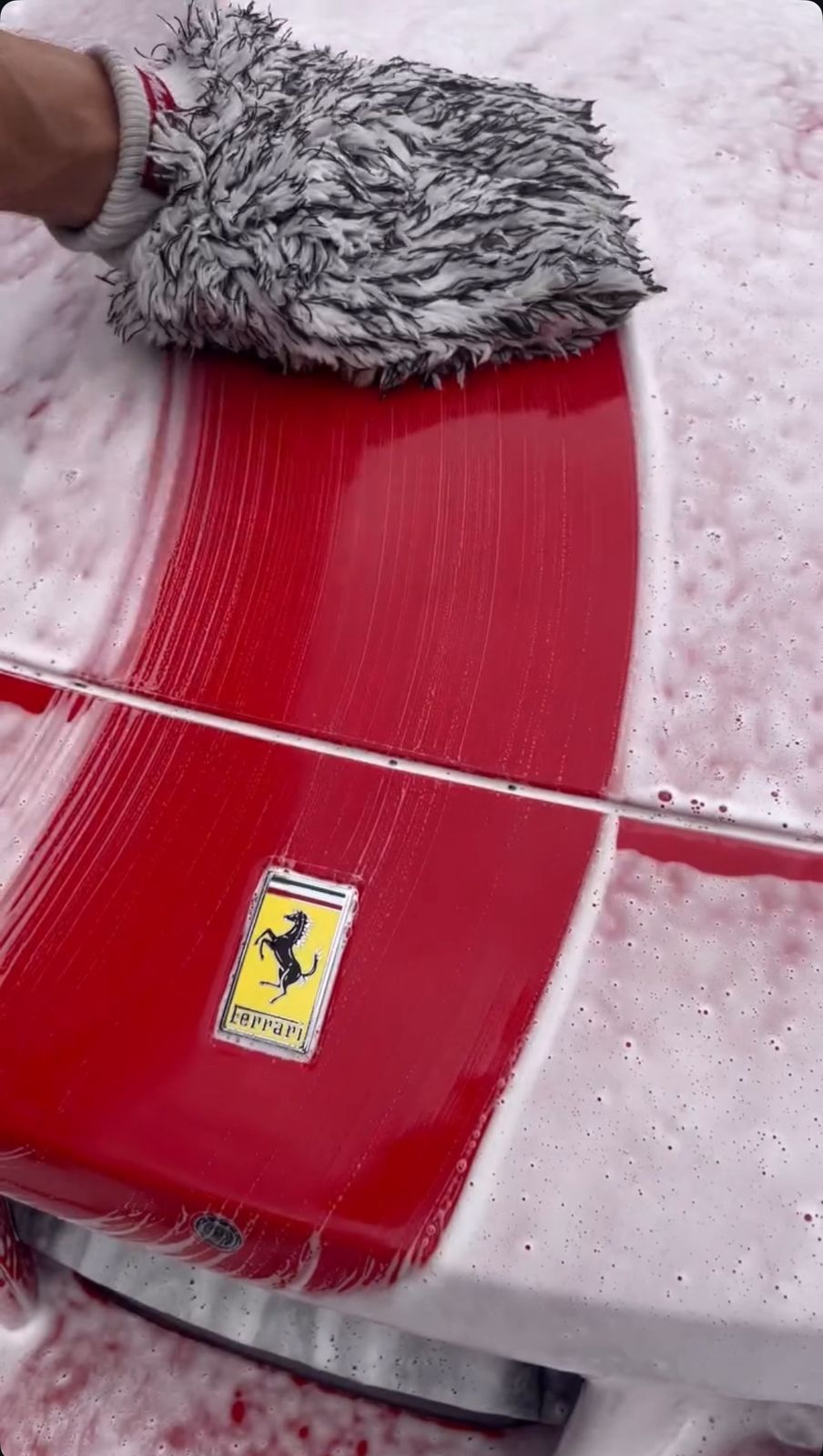 Comprehensive Rejuvenation